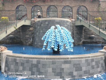 浜名湖花博2024に投稿された画像（2024/4/24）