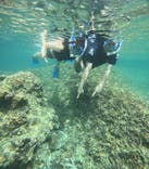 宮古島 ADVENTURE PiPi（ミヤコジマ アドベンチャー ピピ）に投稿された画像（2024/4/24）