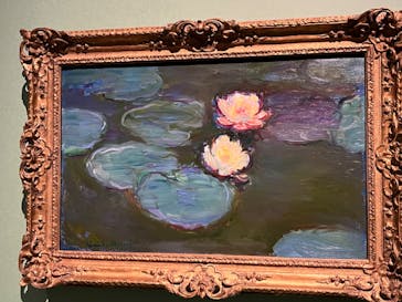 モネ　連作の情景に投稿された画像（2024/4/24）