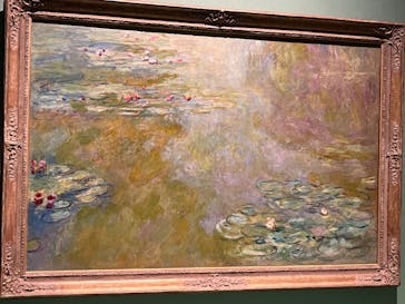 モネ　連作の情景に投稿された画像（2024/4/24）