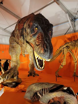 オダイバ恐竜博覧会2024 -福井から“ヤツラ”が新幹線でやってくる！-に投稿された画像（2024/4/24）