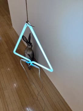 豊田市美術館に投稿された画像（2024/4/24）