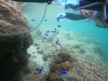 武藤潜水に投稿された画像（2024/4/24）