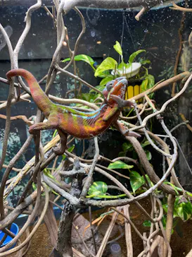 天王寺動物園に投稿された画像（2024/4/24）