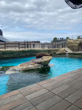 天王寺動物園に投稿された画像（2024/4/24）