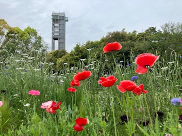 浜名湖花博2024に投稿された画像（2024/4/24）