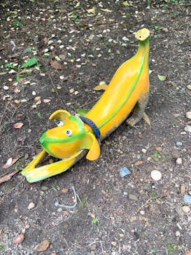 浜名湖花博2024に投稿された画像（2024/4/24）