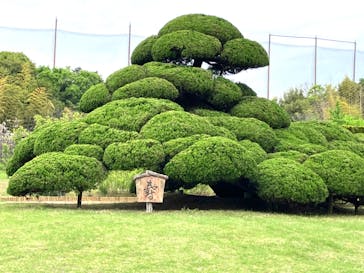 浜名湖花博2024に投稿された画像（2024/4/24）