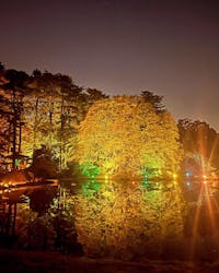 NAKED 紅葉の新宿御苑2023に投稿された画像（2024/4/24）