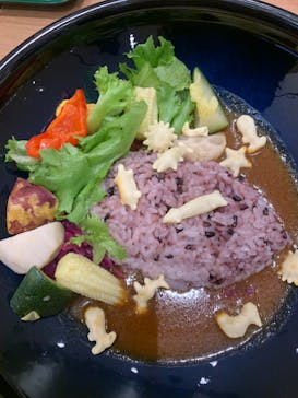 福井県立恐竜博物館に投稿された画像（2024/4/25）