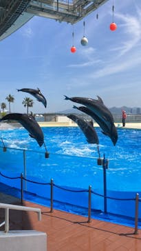 マリンワールド海の中道に投稿された画像（2024/4/25）