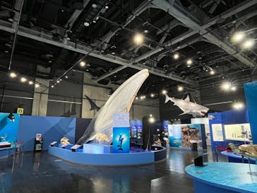 特別展「海　―生命のみなもと―」名古屋市科学館に投稿された画像（2024/4/25）