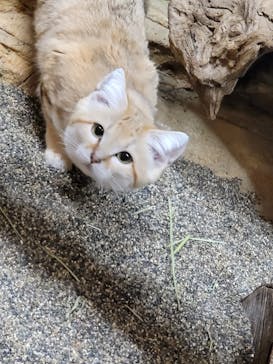 那須どうぶつ王国に投稿された画像（2024/4/25）