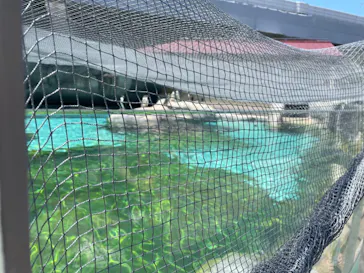 天王寺動物園に投稿された画像（2024/4/25）