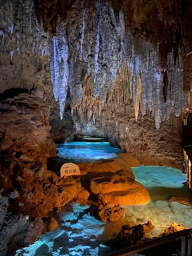 おきなわワールドに投稿された画像（2024/4/25）