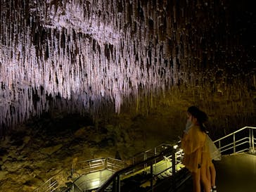 おきなわワールドに投稿された画像（2024/4/25）