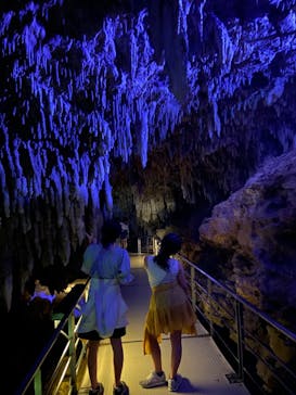 おきなわワールドに投稿された画像（2024/4/25）