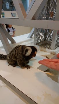 アニタッチららぽーと名古屋みなとアクルスに投稿された画像（2024/4/25）