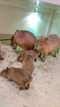 アニタッチららぽーと名古屋みなとアクルスに投稿された画像（2024/4/25）