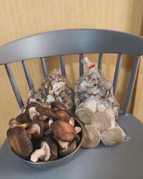 トクリン　こんどうちゃんきのこ農園に投稿された画像（2024/4/25）