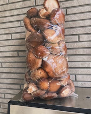 トクリン　こんどうちゃんきのこ農園に投稿された画像（2024/4/25）