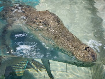 NIFREL（ニフレル）に投稿された画像（2024/4/25）