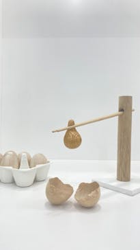 新潟県立自然科学館に投稿された画像（2024/4/25）