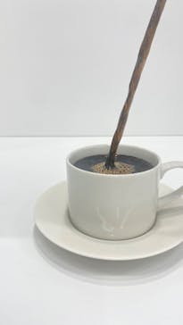 新潟県立自然科学館に投稿された画像（2024/4/25）