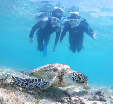 アマミエンシスに投稿された画像（2024/4/25）