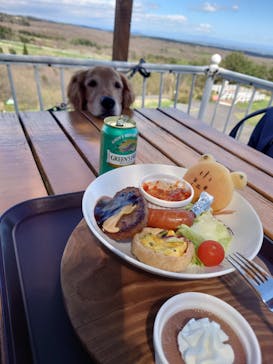 那須どうぶつ王国に投稿された画像（2024/4/25）