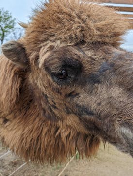 神戸どうぶつ王国に投稿された画像（2024/4/25）