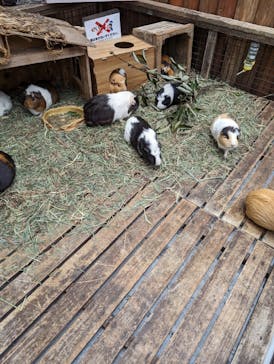 神戸どうぶつ王国に投稿された画像（2024/4/25）