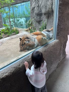 神戸どうぶつ王国に投稿された画像（2024/4/25）