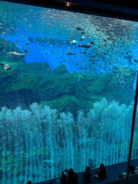 仙台うみの杜水族館に投稿された画像（2024/4/25）