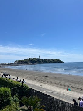 新江ノ島水族館に投稿された画像（2024/4/25）