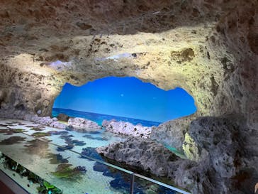 DMMかりゆし水族館に投稿された画像（2024/4/25）