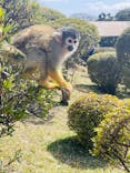 伊豆シャボテン動物公園に投稿された画像（2024/4/26）