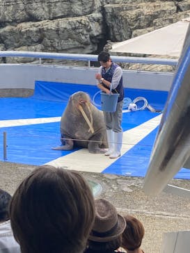 大分マリーンパレス水族館 「うみたまご」に投稿された画像（2024/4/26）
