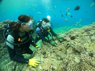 武藤潜水に投稿された画像（2024/4/26）