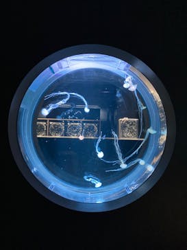 AOAO SAPPOROに投稿された画像（2024/4/26）