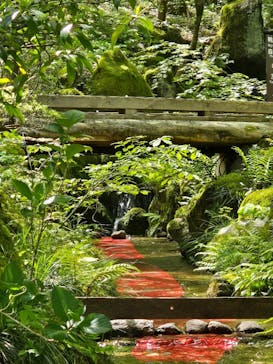 加賀 伝統工芸村　ゆのくにの森に投稿された画像（2024/4/26）