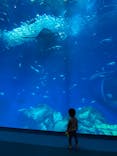 アクアワールド茨城県大洗水族館に投稿された画像（2024/4/26）