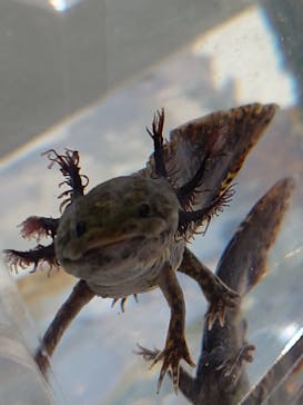 AOAO SAPPOROに投稿された画像（2024/4/26）