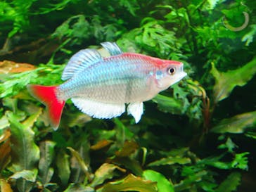 AOAO SAPPOROに投稿された画像（2024/4/26）