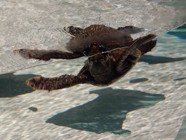 AOAO SAPPOROに投稿された画像（2024/4/26）