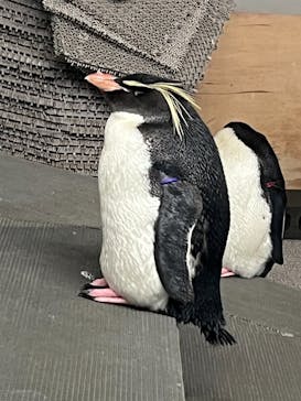 AOAO SAPPOROに投稿された画像（2024/4/26）