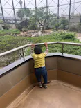 天王寺動物園に投稿された画像（2024/4/26）