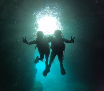 沖縄マリンサービス碧に投稿された画像（2024/4/26）