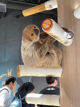 DMMかりゆし水族館に投稿された画像（2024/4/26）