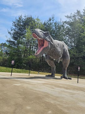 福井県立恐竜博物館に投稿された画像（2024/4/26）